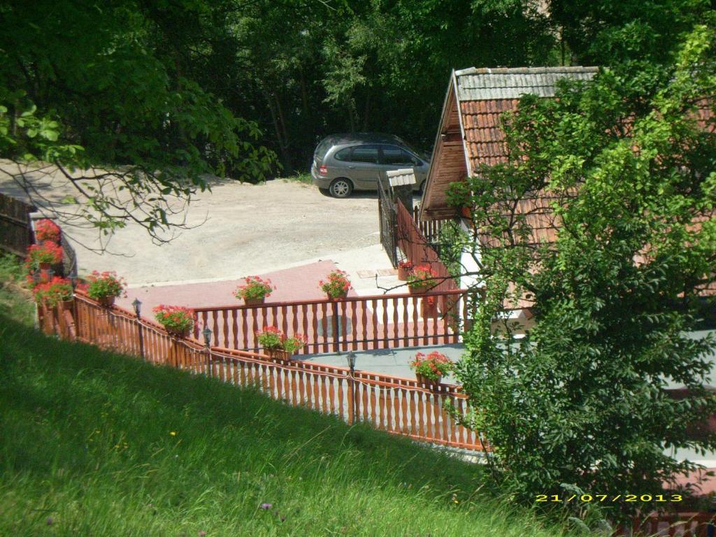 Pensiunea Tinelu Brasov Săcele Exterior foto